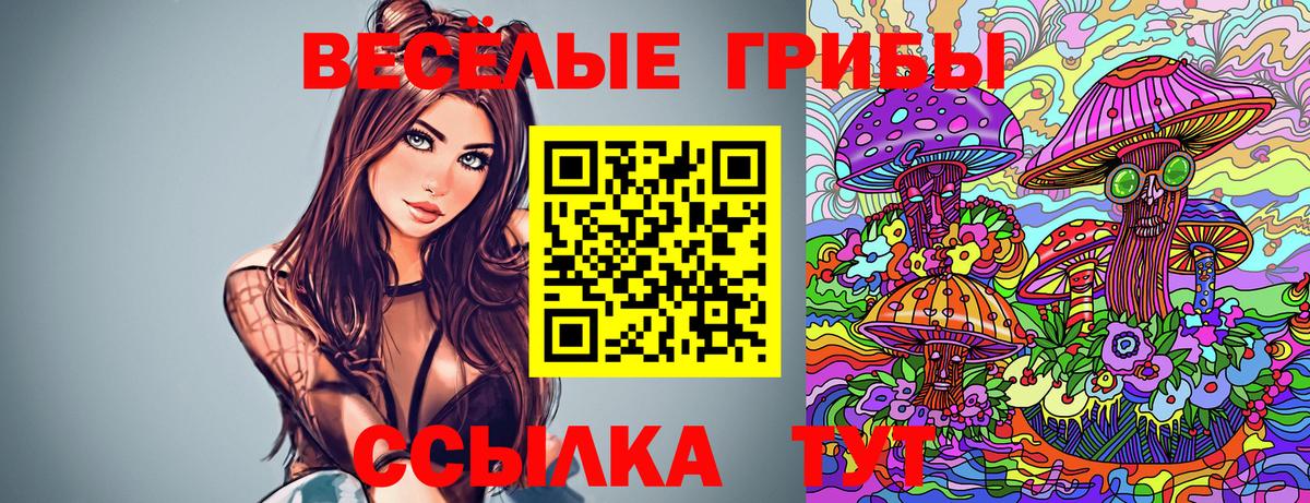 Октябрьский  Псилоцибиновые грибы Psilocybine cubensis  Вход с VPN 